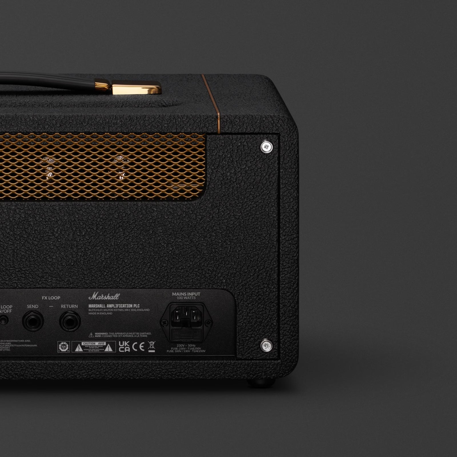 Marshall Studio Vintage Head