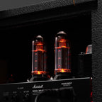 Marshall Studio Vintage Head